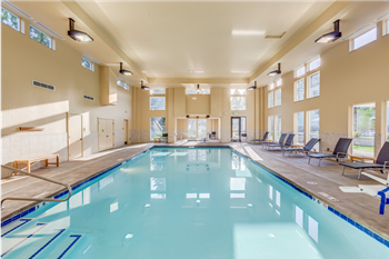 Indoor saltwater pool & spa